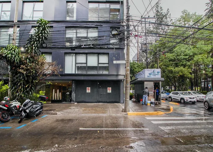 Jvm 429, In Polanco By Blueground